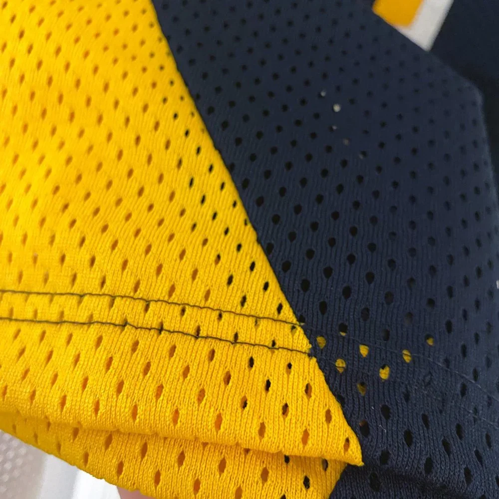 Champion - Indiana Pacers Reggie Miller Authentic vintage jersey (1995) 48 - Picture 4 of 13